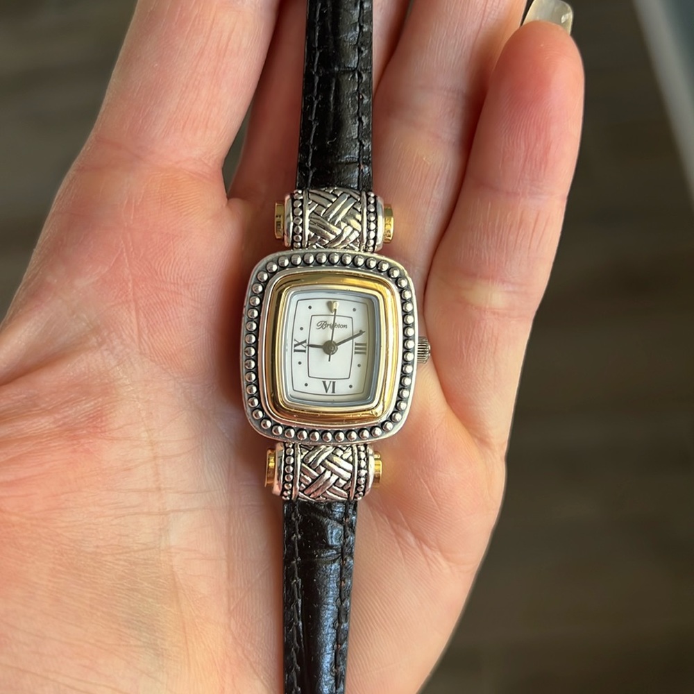Brighton watch